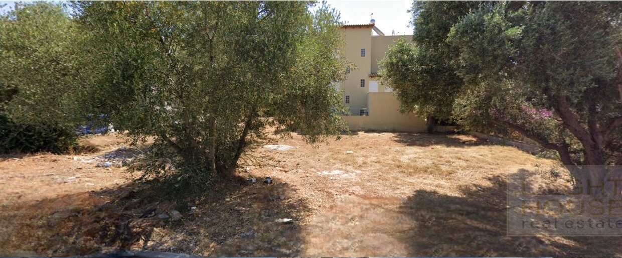 Screenshot 2026-03-08 211153 copy